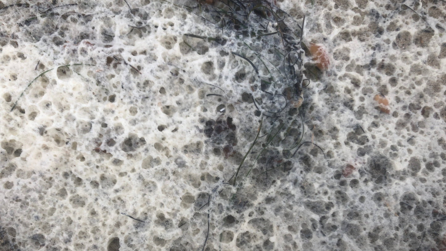 Homage to Picasso (UNFRAMED)