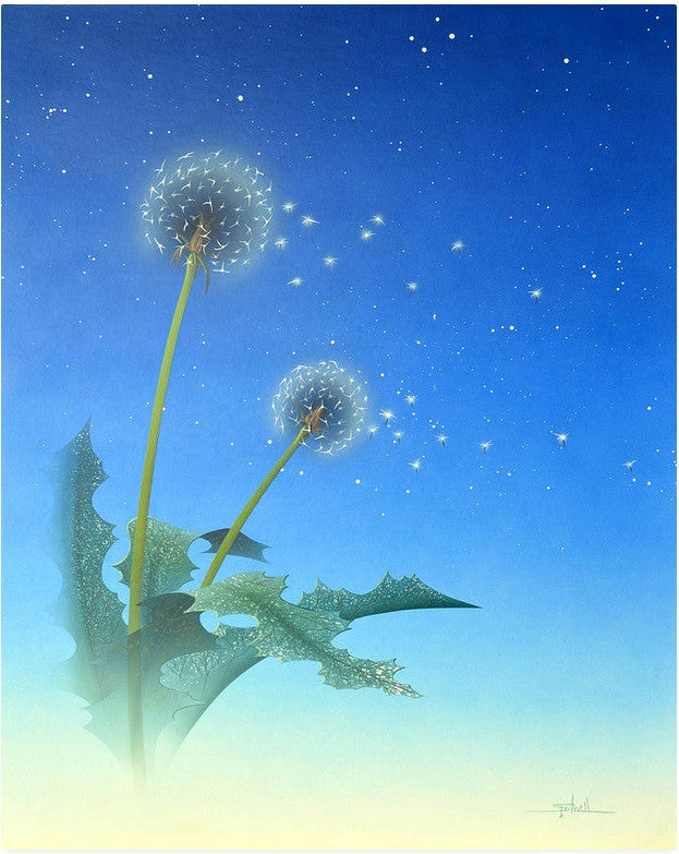 Ken Shotwell - Dandelion (UNFRAMED)