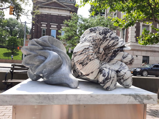 Long Delayed by the Pandemic, a Public Art Installation Is Now Blooming on Broadway